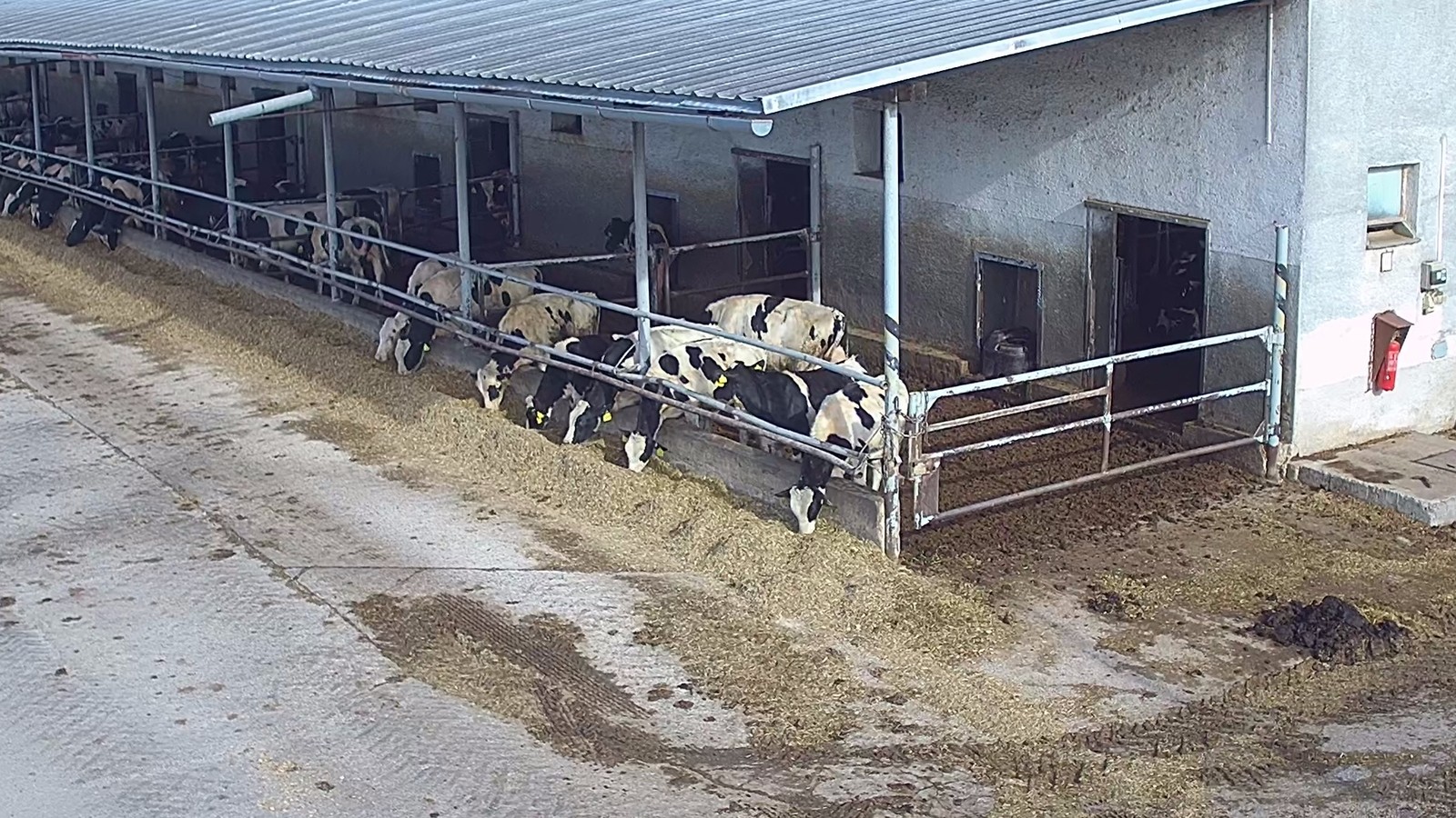 PD Devio Nové Sady – maštaľ s dobytkom a dohľad na kŕmenie